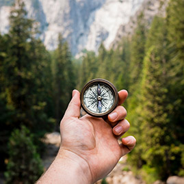 A hand holding a compass in the woods